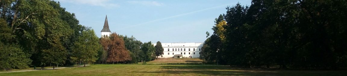 Čím byl Vídeňský Hofburg pro rakouské císaře, čím byl Krakovský Wawel pro polské krále, tím byl Karvinský Fryštát pro slezské vévody